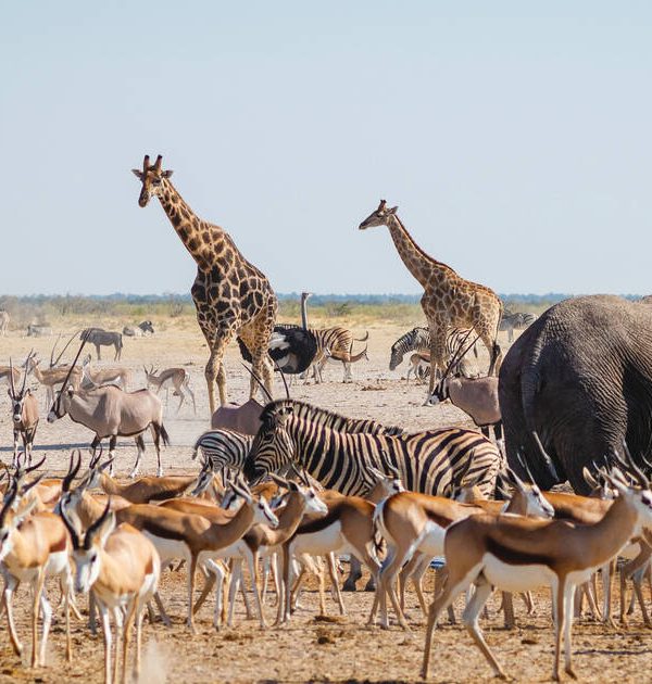Namibia Tourism Destinations